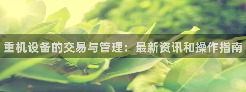 威九国际网站入口rdquo