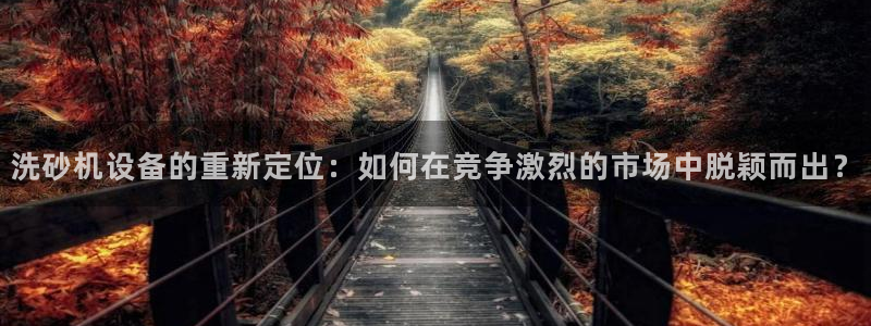 威九国际网站在哪里