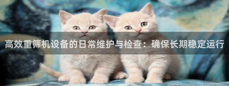 威九国际演员表