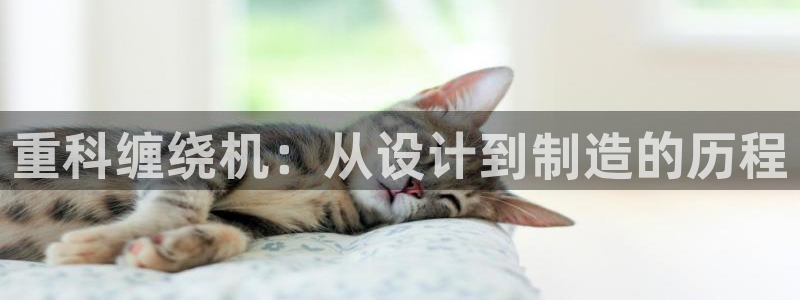 威九国际网站进入产品分类