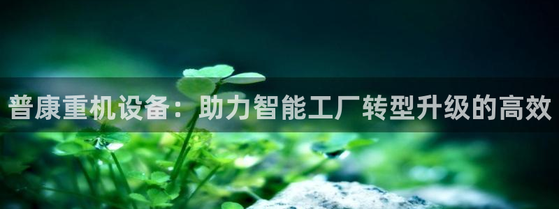 威九国际网站入口地址在哪里
