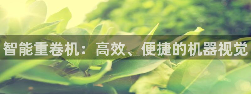 保定威九网络科技有限公司怎么样