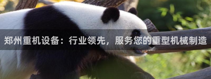 威九国际旗下艺人都有谁