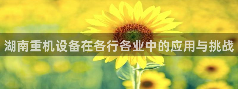 威九国际网站链接