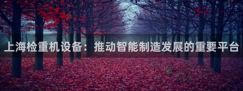 威九国际成长模式