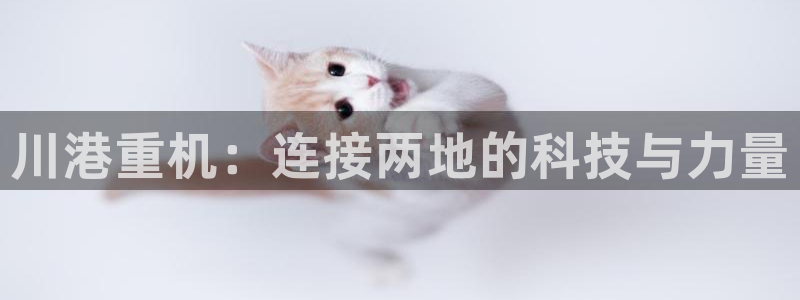 威九国际fX8x：川港重机：连接两地的科技与力量