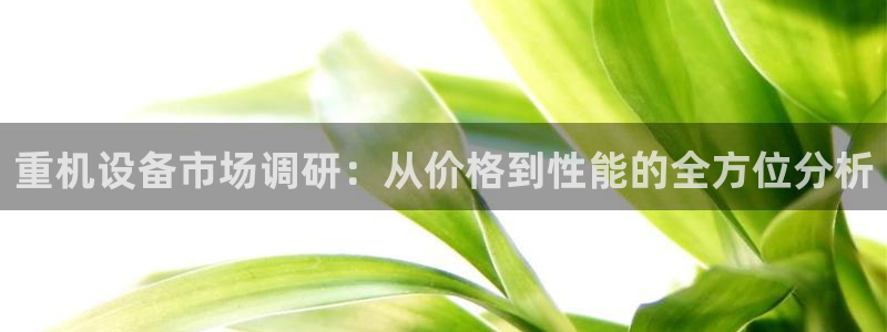 威九国际网站入口官网免费下载