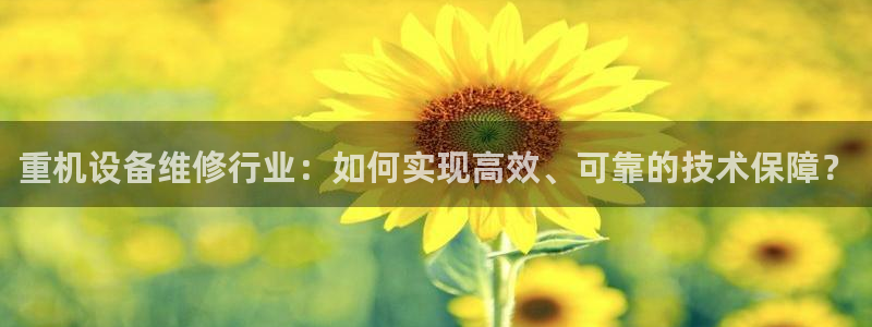 威九国际网站客服电话多少