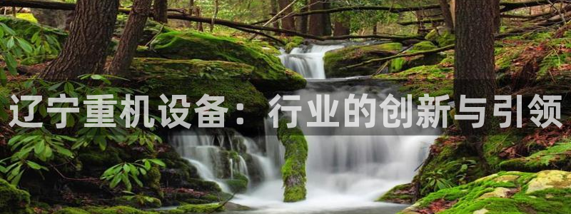 威九国际66在线
