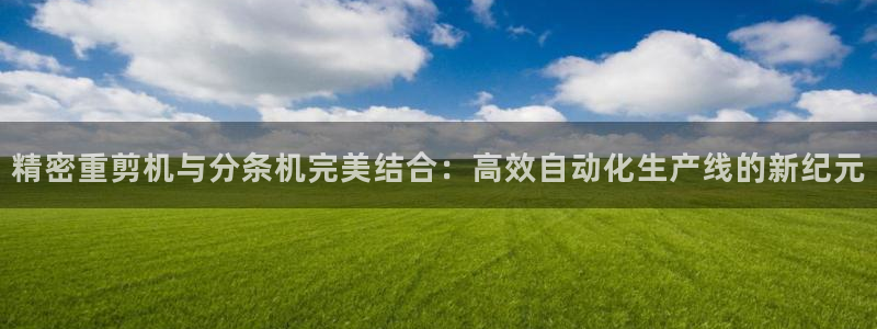 78mapp威九国际成长视频：精密重剪机与分条机完美结合：高