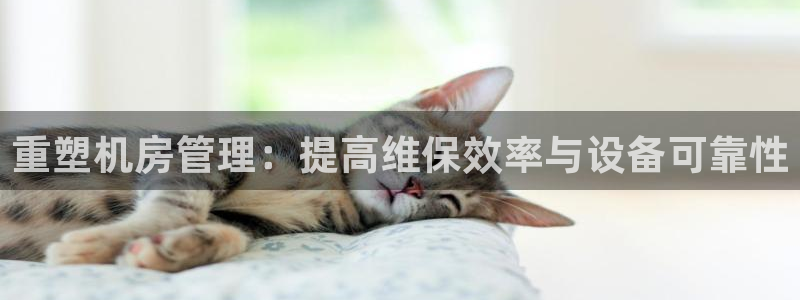 威九国际网站进入AB,AB：重塑机房管理：提高维保效率与设备