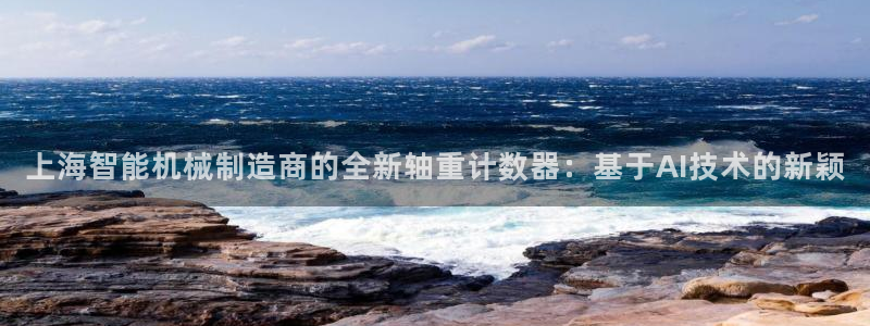 威九国际ppt免费：上海智能机械制造商的全新轴重计数器：基于