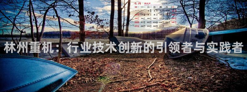 威九国际取款：林州重机：行业技术创新的引领者与实践者