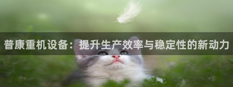 威九国际体育app下载：普康重机设备：提升生产效率与稳定性的