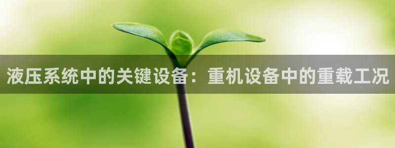 威九国际精选：液压系统中的关键设备：重机设备中的重载工况