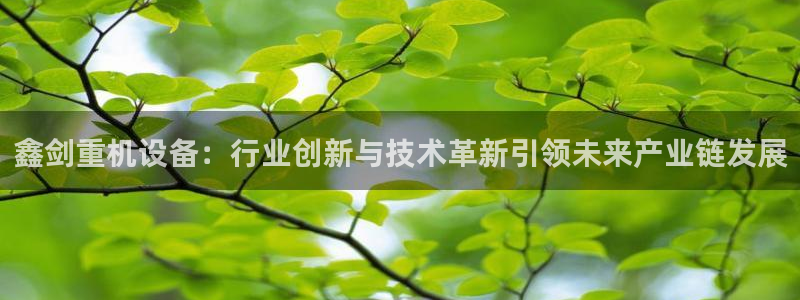 威九国际女星：鑫剑重机设备：行业创新与技术革新引领未来产业链
