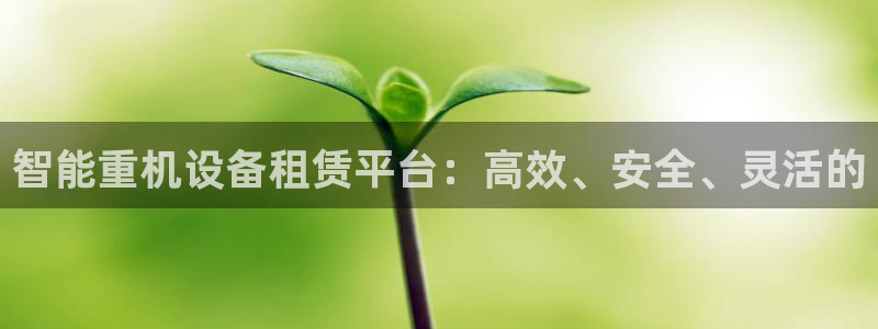 威九国际78mapp：智能重机设备租赁平台：高效、安全、灵活