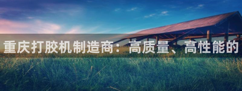 威九国际网站经常打不开怎么办：重庆打胶机制造商：高质量、高性