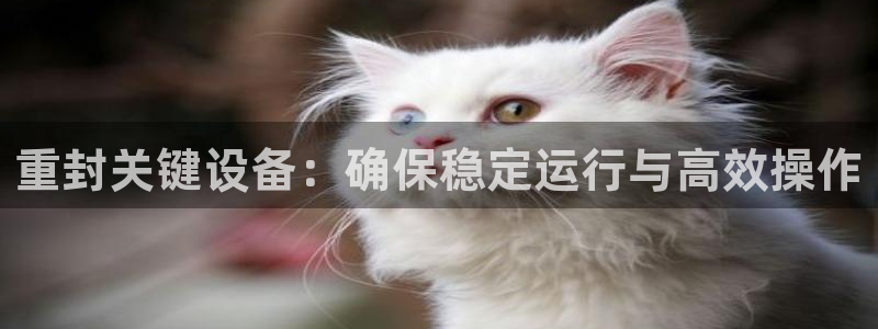 威九国际小说：重封关键设备：确保稳定运行与高效操作