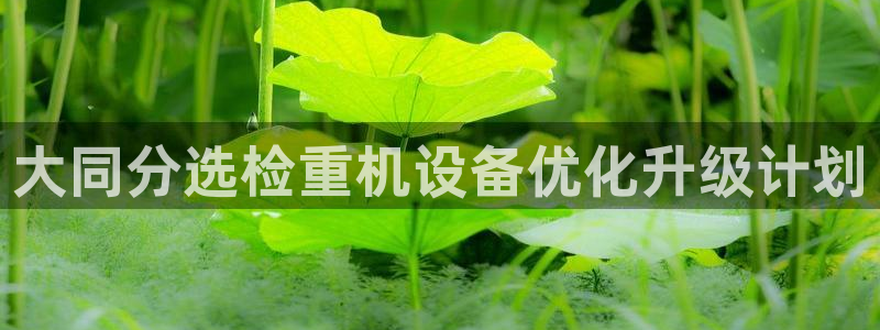 威九国际人民网：大同分选检重机设备优化升级计划