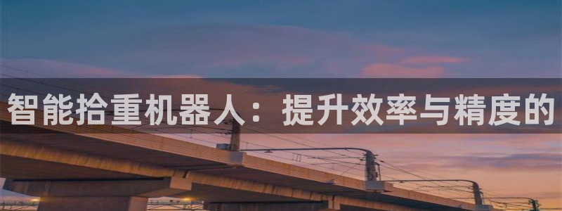 威九国际网站人入口：智能拾重机器人：提升效率与精度的