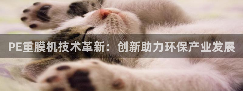 威九国际替好友去：PE重膜机技术革新：创新助力环保产业发展