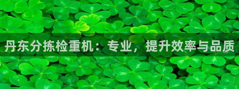 威九国际78m：丹东分拣检重机：专业，提升效率与品质