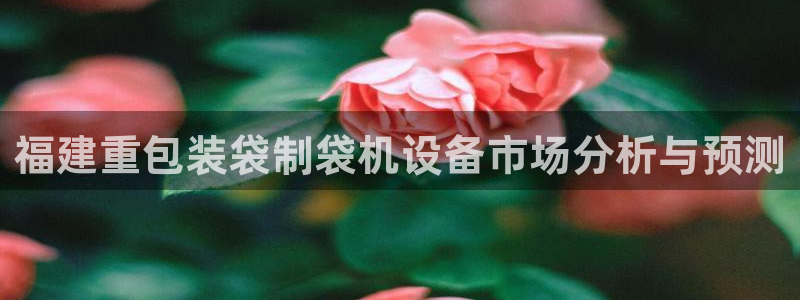 威九国际在线平台怎么样啊：福建重包装袋制袋机设备市场分析与预