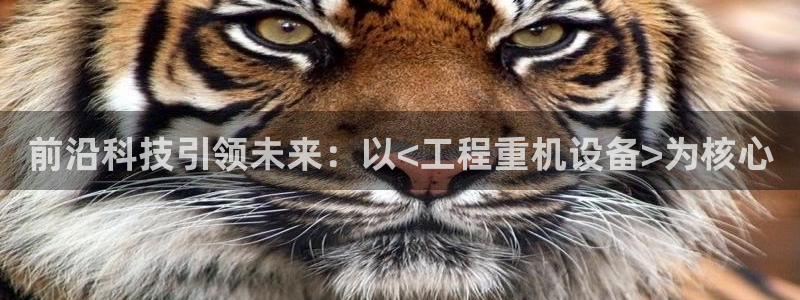 78mapp威九国际人民网：前沿科技引领未来：以<工程重机设