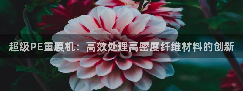 威九国际APP大全：超级PE重膜机：高效处理高密度纤维材料的