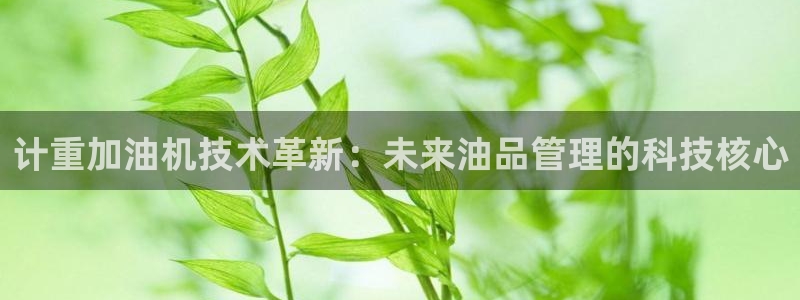 威九国际小广告：计重加油机技术革新：未来油品管理的科技核心