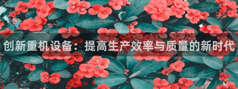 威九国际官网登录入口下载：创新重机设备：提高生产效率与质量的