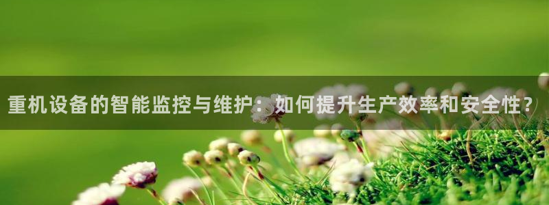 威九国际fX8x