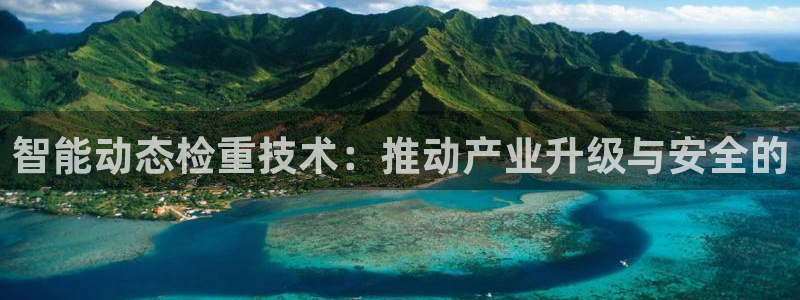 威九国际男主：智能动态检重技术：推动产业升级与安全的
