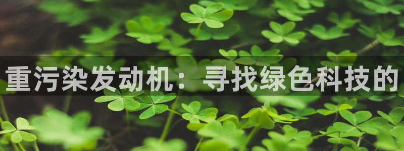 威九国际FF