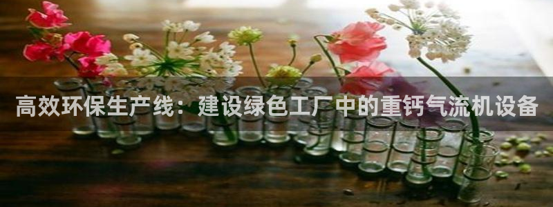 威九国际APP客服：高效环保生产线：建设绿色工厂中的重钙气流