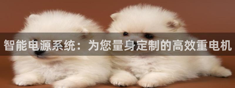 威九国际的女主：智能电源系统：为您量身定制的高效重电机