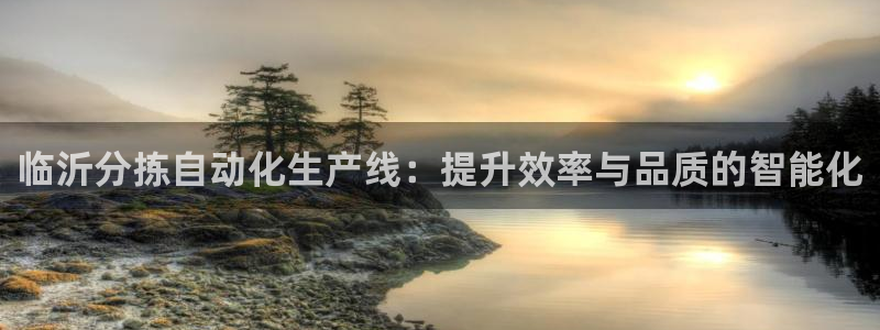 威九国际取款不会被骗吧：临沂分拣自动化生产线：提升效率与品质
