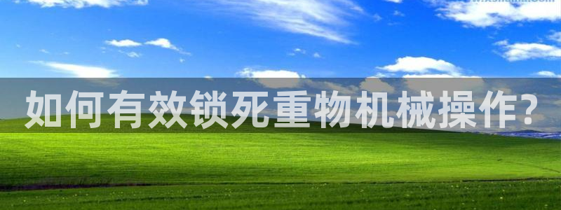 66m威九国际精选：如何有效锁死重物机械操作?
