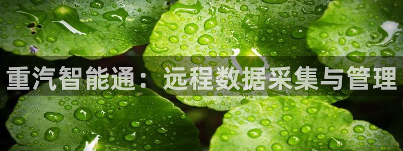 威九国际网站客服电话多少号码