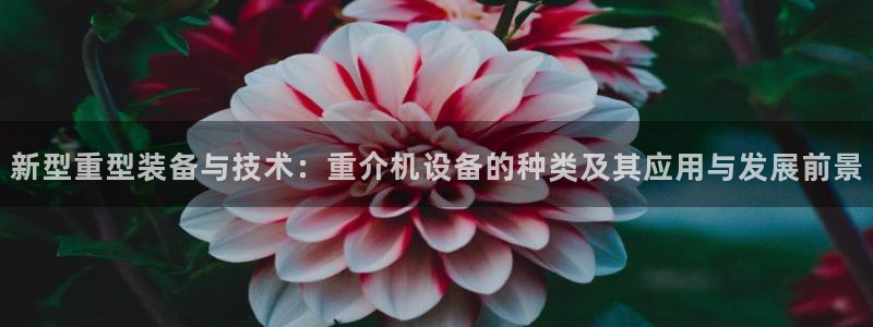 威九国际66m66m：新型重型装备与技术：重介机设备的种类及