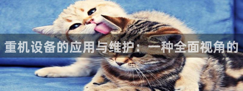 威九国际人民网招聘