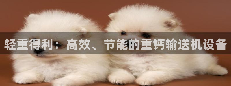 威九国际软件：轻重得利：高效、节能的重钙输送机设备
