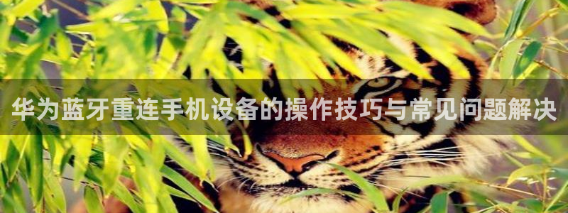 威九国际APP下载