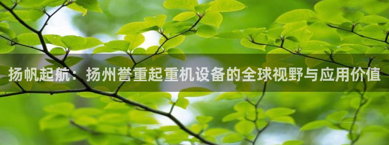 威九国际网站进入客服中心怎么进：扬帆起航：扬州誉重起重机设备