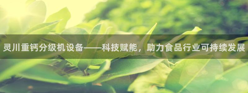 威九国际男演员：灵川重钙分级机设备——科技赋能，助力食品行业