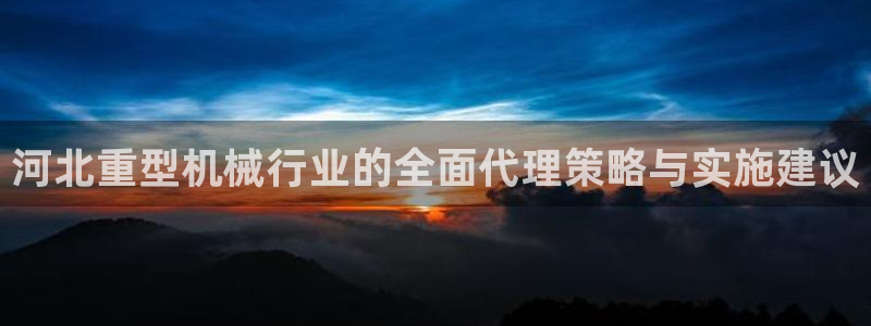 威九国际网站是多少：河北重型机械行业的全面代理策略与实施建议
