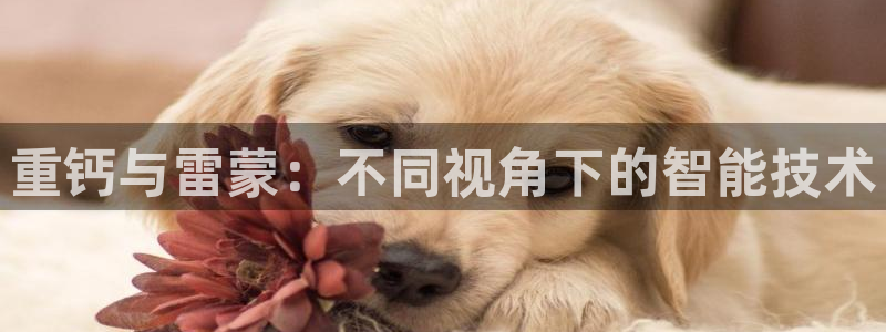 威九国际取款不会被骗吧