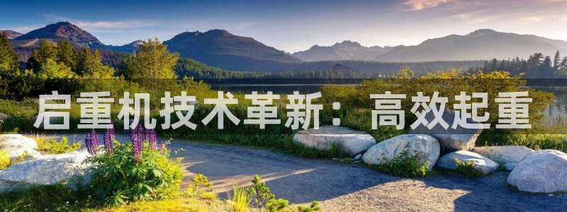 威九国际客服电话号码查询
