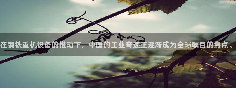 78mapp威九国际免费官方版下载：在钢铁重机设备的推动下，